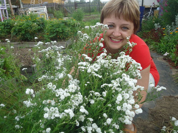 Наталья Веселова