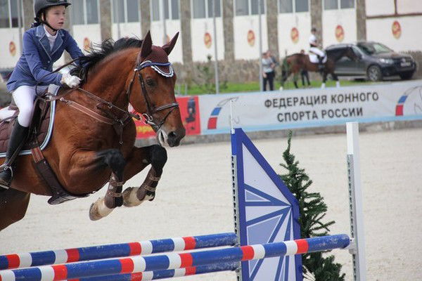 Алина Алексеева