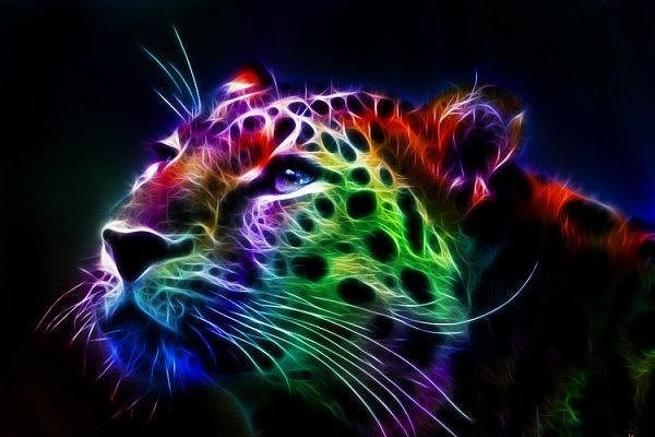 Михаил Шаповалов