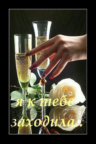 Анна Волкова