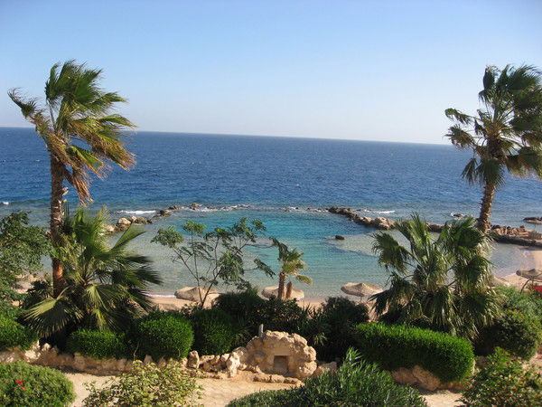 Светлана Демина