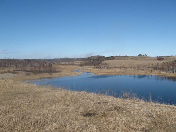 Анна Агеева