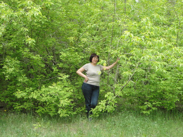 Ардак Карашина