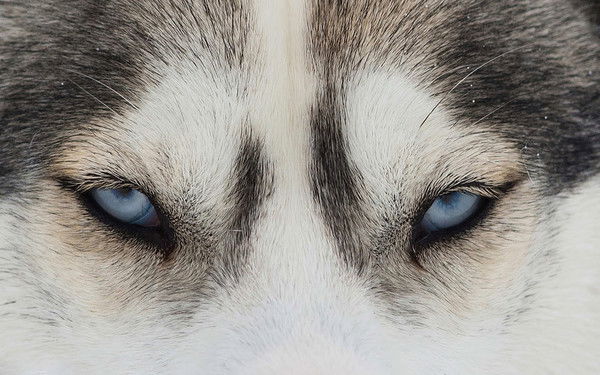 Светлана Кондратьева