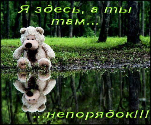 Дашка Стоян