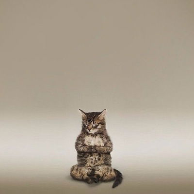 Никита Лысенко