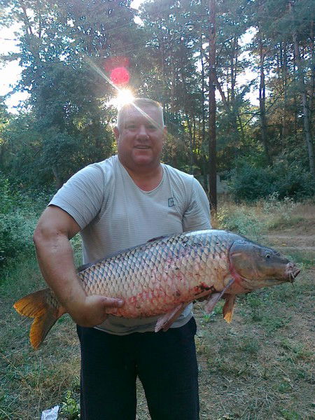 Гуща Николай