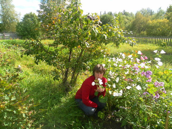 Елена Веденина