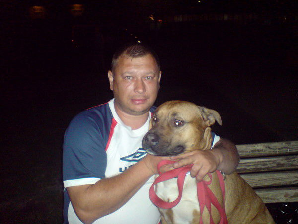 Геннадий Алексеев