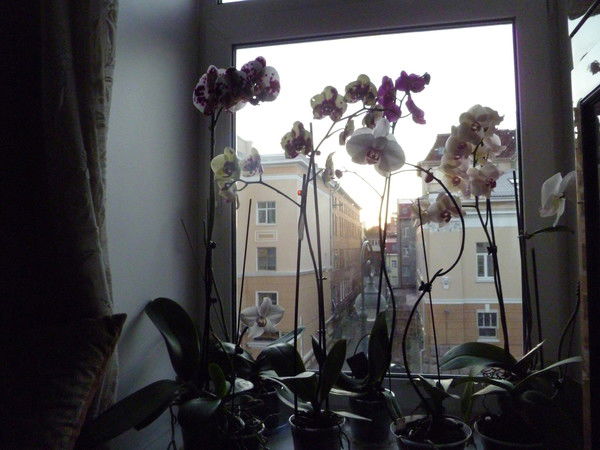 Татьяна Глазнева