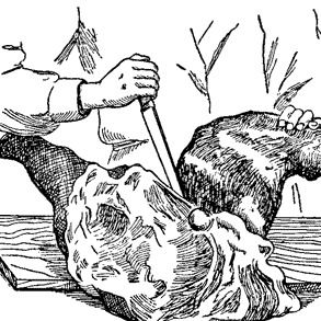 Мяскомсервис Новосибирск