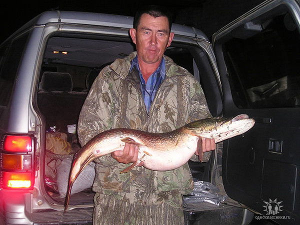 Владислав Каменских