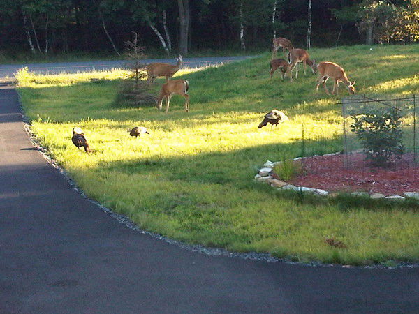 Никто Никак