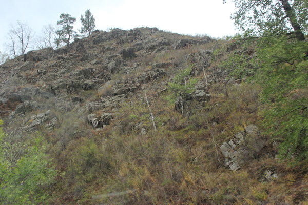 Любовь Петкова