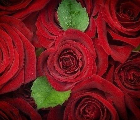 Гулназ Алмазбекова