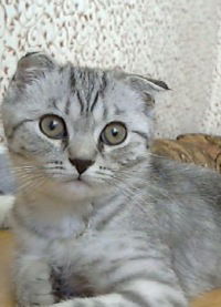 Валентина Савина