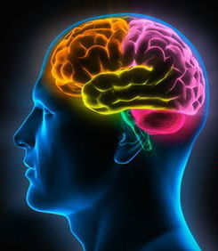 Михаил Зайцев