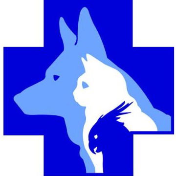 Максим Кургузов