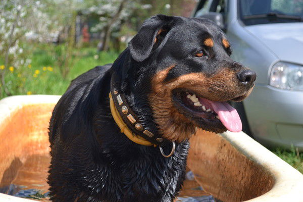 Вася Зайцев