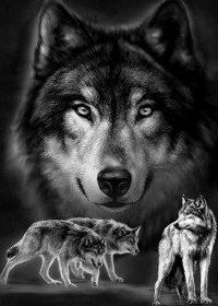 Костя Николаев