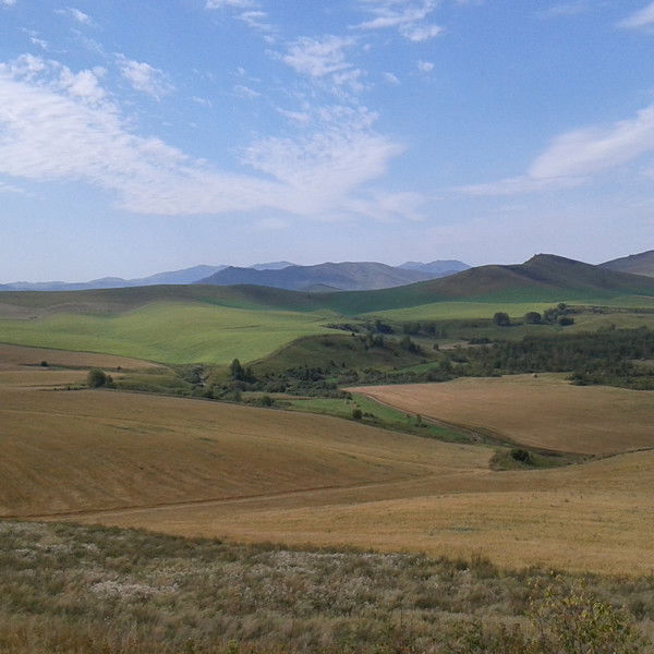 Пётр Кривенцев