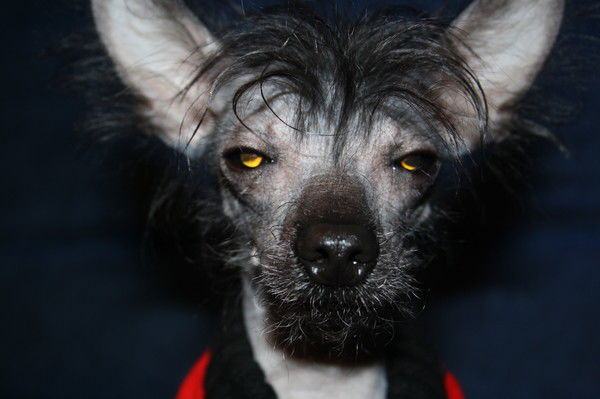 Неизвестно Неизвестно