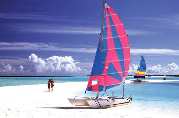 Алые Паруса 366-888