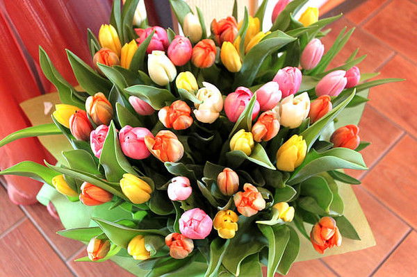 Юлия Лукьянова