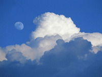 Светлана Втюрина