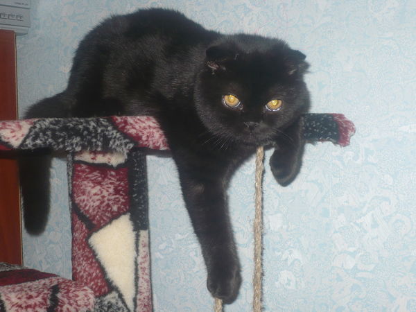 Ирина Буторина