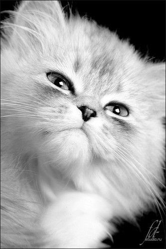 Тома Смирнова