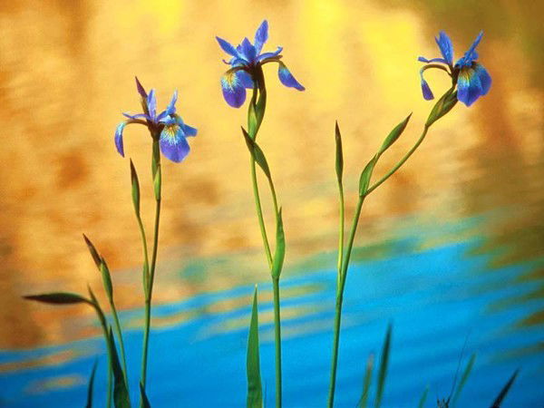 Кара-Кулжа Сулуусу)))