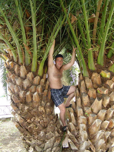 Андрей Мисюра