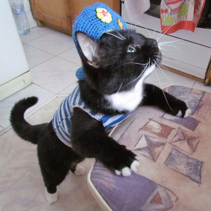 Василиск Василиск