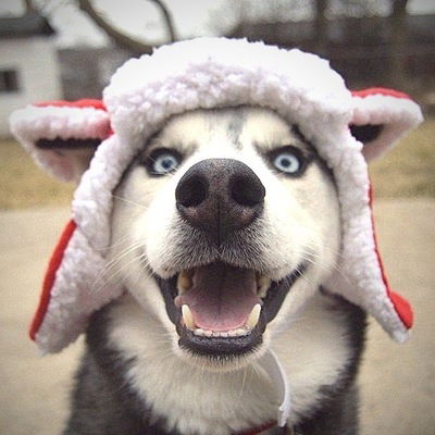 Вова Волощинский