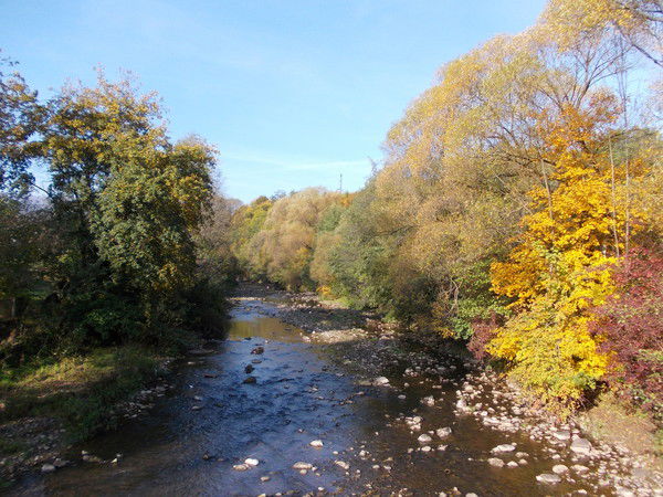 Тарас Прозоря