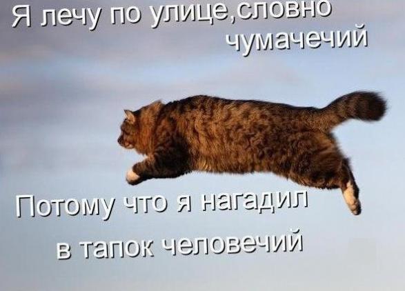 Алексей Камаров