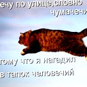 Алексей Камаров