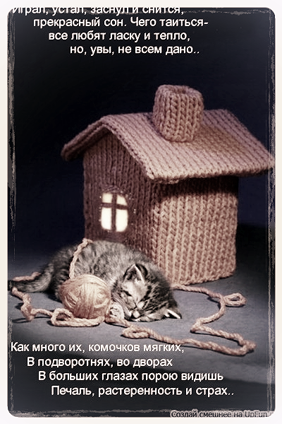 Оля Костерина