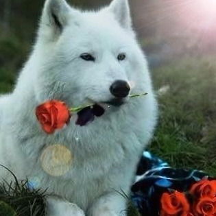 Ахунова Бибижан