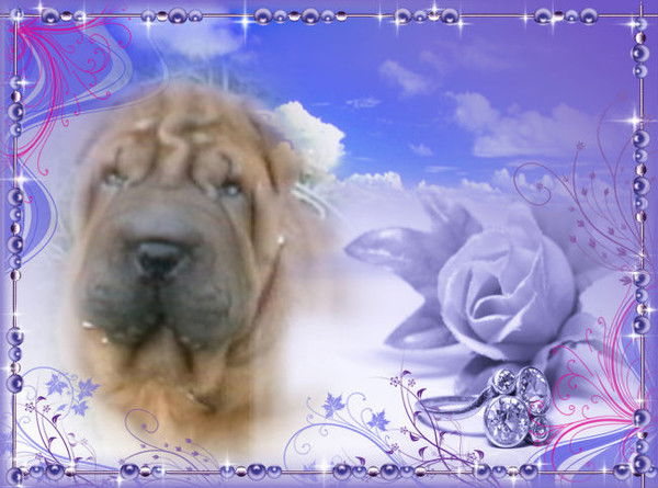 Юлия Посашкова