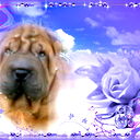 Юлия Посашкова