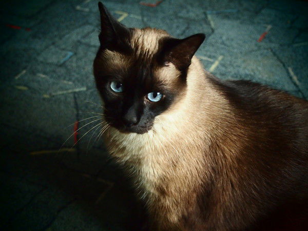 Лилия Левченкова