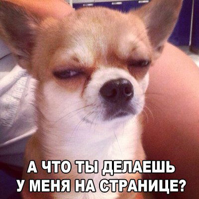 Вадим Быков