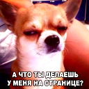 Вадим Быков