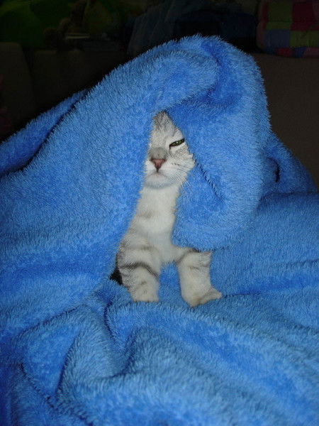 Андрей Кравцов