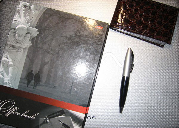 Сергей Леденёв