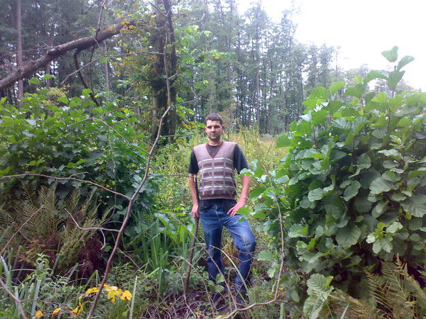 Павел Ярмош