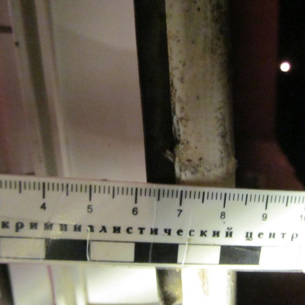 Жедел Криминалистика