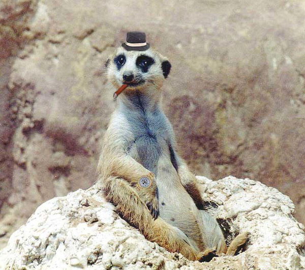 Виталий Головкин